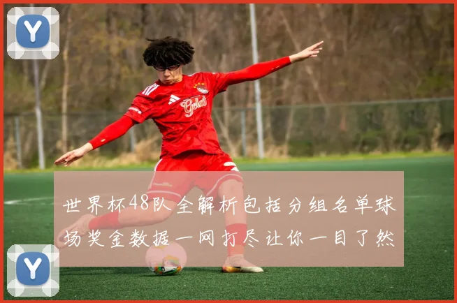 世界杯48队全解析包括分组名单球场奖金数据一网打尽让你一目了然