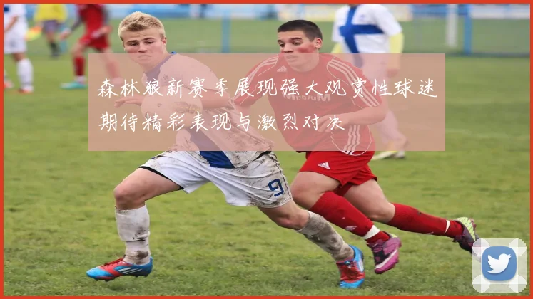 森林狼新赛季展现强大观赏性球迷期待精彩表现与激烈对决